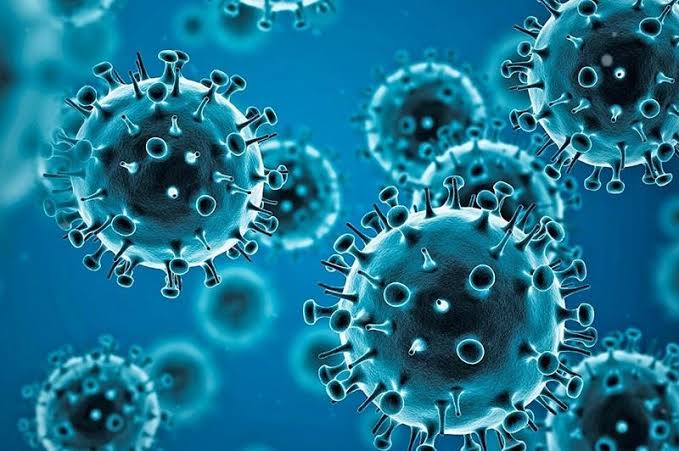 2 828 new coronavirus cases reported in SA on Friday
