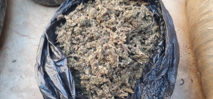 Six suspects arrested with bags of Dagga in Sekhukhune