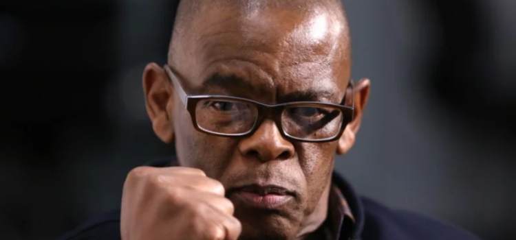 Ace Magashule expelled from the ANC