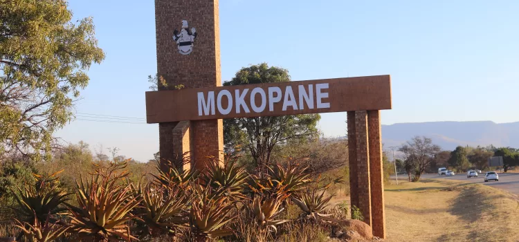 Thugs steal wheelbarrows at a seedling company in Mokopane