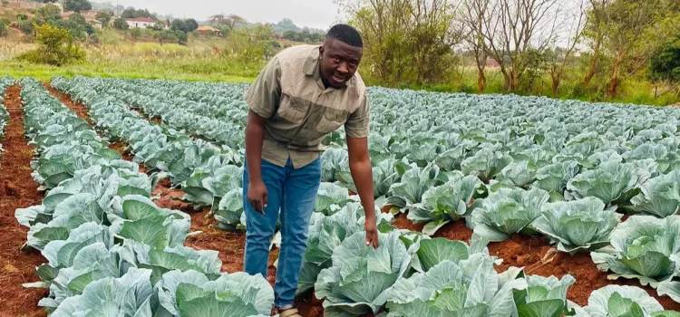 Limpopo young farmer seeking solutions for his community