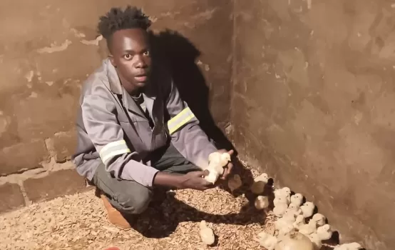 How unemployment led to Limpopo poultry farmer finding his passion