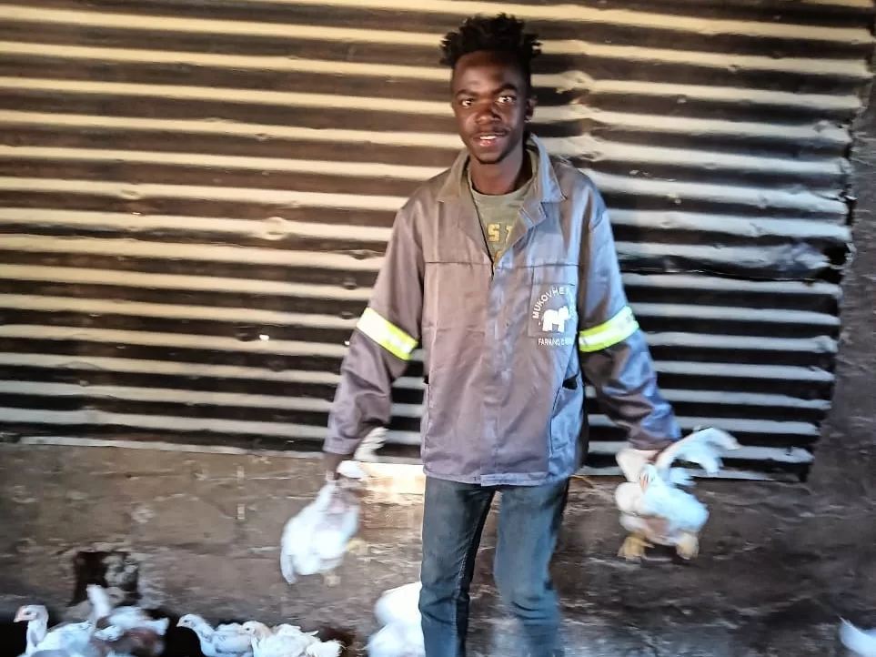 How unemployment led to Limpopo poultry farmer finding his passion